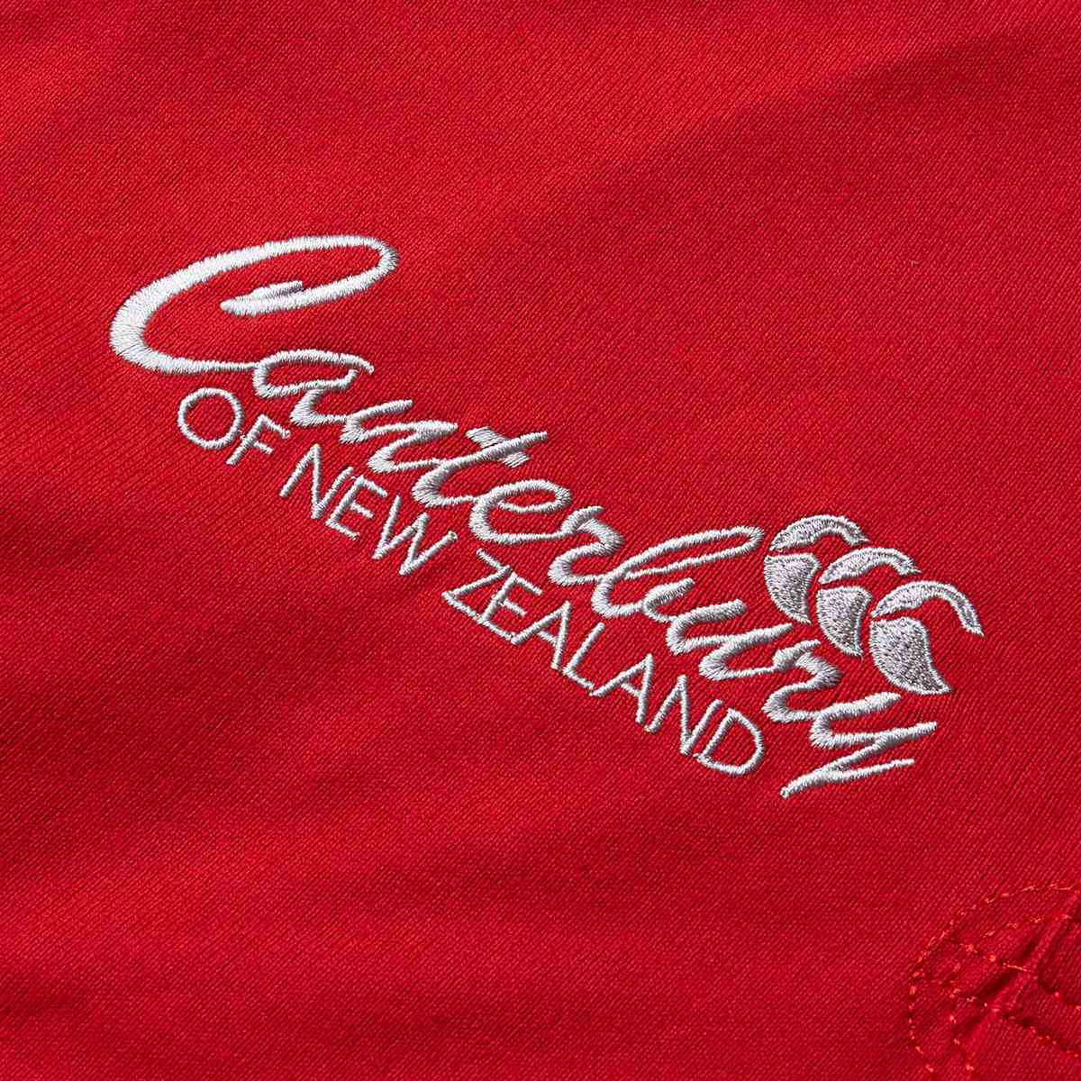 Canterbury British &amp; Irish Lions Rugby 2024/25 Heritage Jersey - Image 8