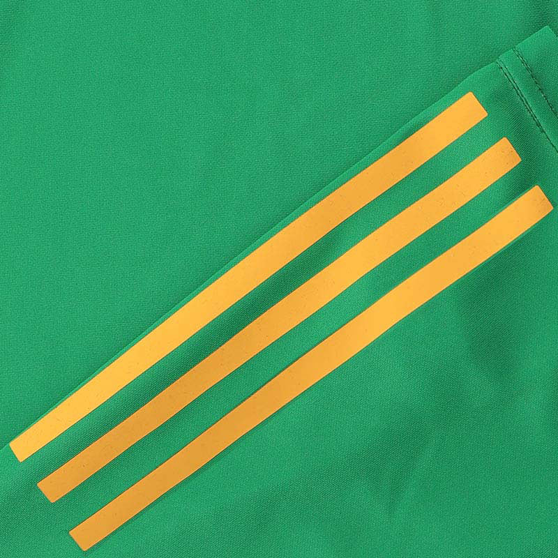 O'Neills Carlow GAA 2025 Home Player Fit Jersey - Image 3