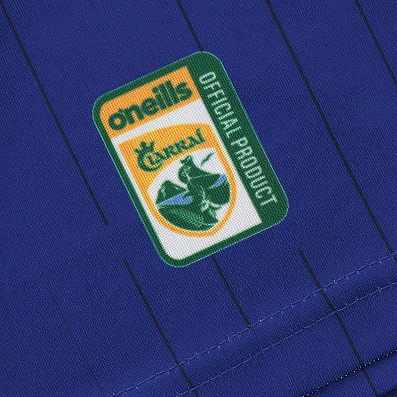 O'Neills Kerry GAA 2025 Alternative Kids Jersey - Image 8