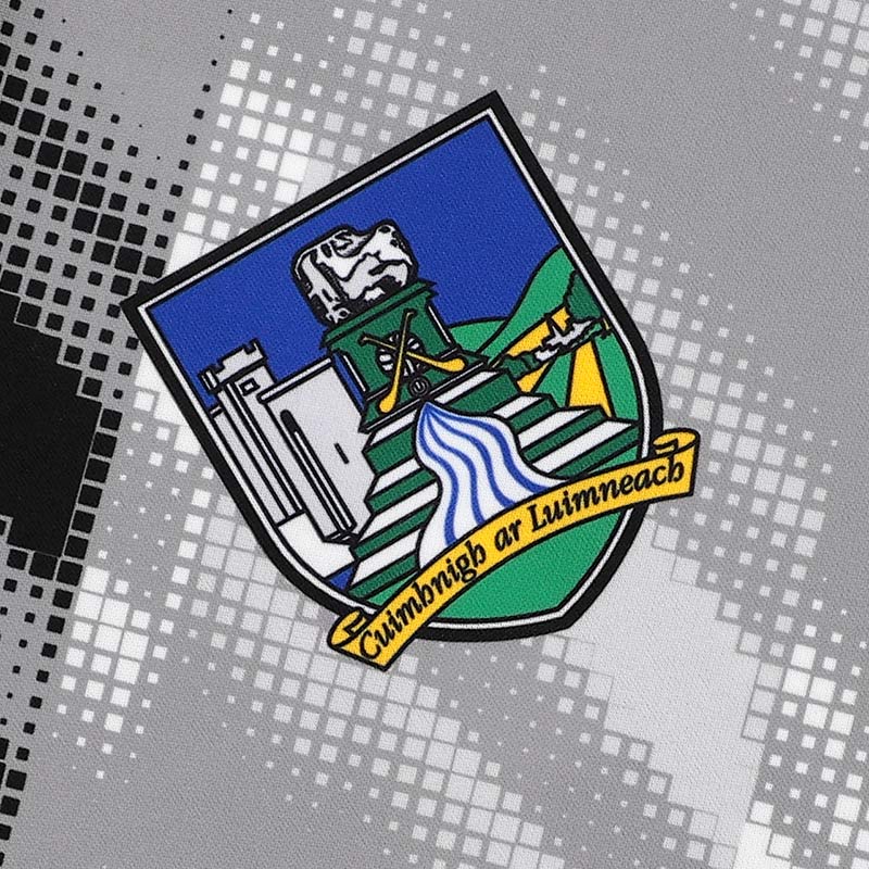 O'Neills Limerick GAA 2026 Player Fit Training Jersey - Image 3