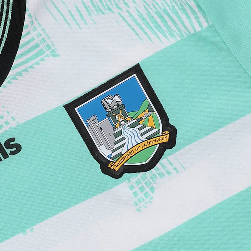 O'Neills Limerick GAA 2026 Goalkeeper Alternate Player Fit Jersey - Image 3