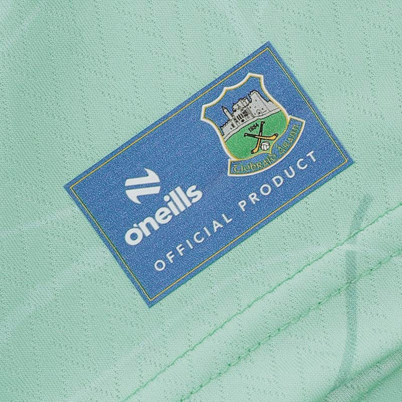 O'Neills Tipperary GAA 2026 Goalkeeper Alternate Player Fit Jersey - Image 8