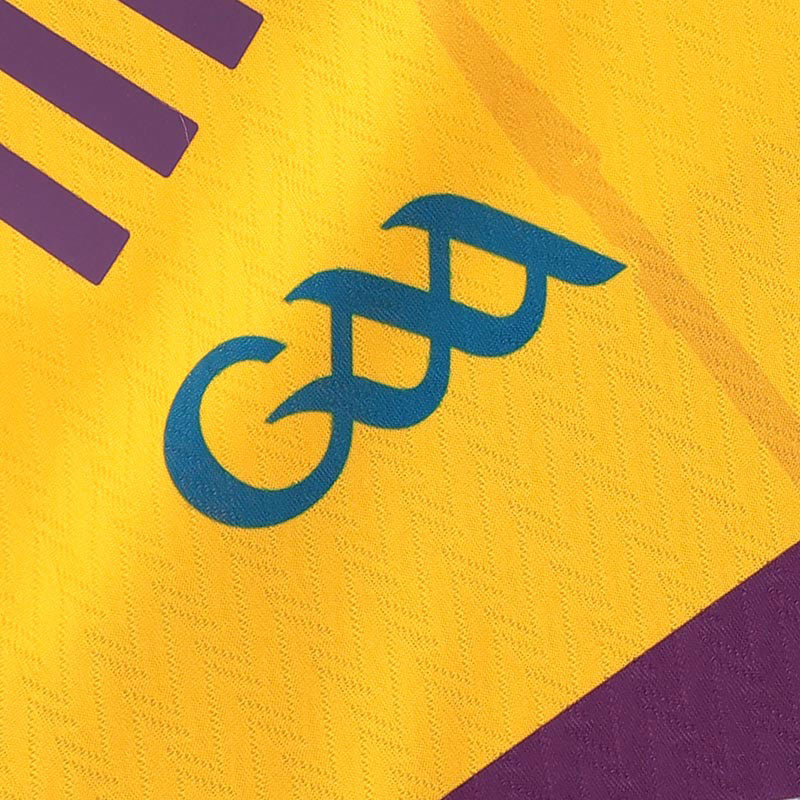 O'Neills Wexford GAA 2026 Player Fit Home Jersey - Image 4