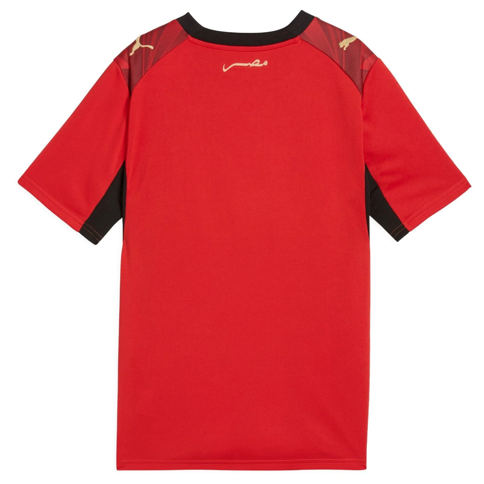 Puma Egypt Football World Cup 2026 Kids Home Jersey - Image 2